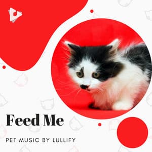 Feed Me - Pet Music by Lullify