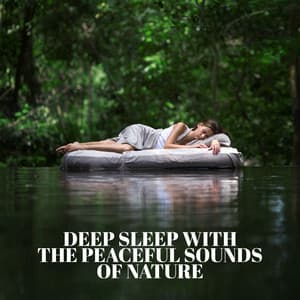 Deep Sleep with the Peaceful Sounds of Nature: Insomnia Treatment, Natural Cure, Sleep Meditation - Trouble Sleeping Music Universe