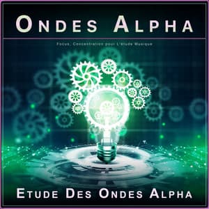 Ondes Alpha : Focus, Concentration pour L'étude Musique - Ondes Alpha