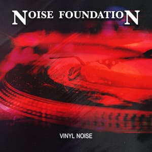 Vinyl Noise - Noise Foundation