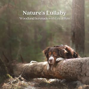 Nature's Lullaby: Woodland Serenade with Loyal Pets - Sound Of The Woods