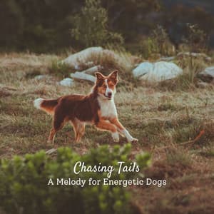 Chasing Tails: A Melody for Energetic Dogs - Dog Anxiety Music