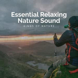 Essential Relaxing Nature Sound - Kings of Nature