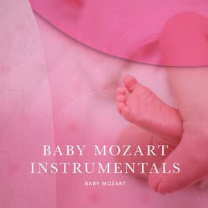 Baby Mozart Instrumentals - Baby Mozart
