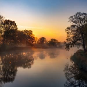 Orchestra Of Celestial Dreams: Heavenly Symphonies For Tranquil Moments - Lee Rosangela