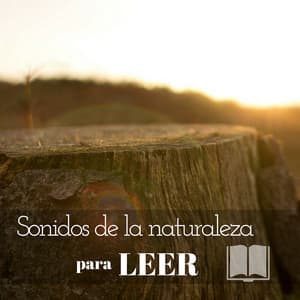 Sonidos de la naturaleza para leer – Musica para la relajación antes del estudio, mejor concentración, lectura, concentración, aprendizaje para el examen - Ruido Blanco para Leer