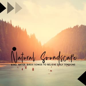 Natural Soundscape: Wind, Water, Birds Songs to Relieve Daily Tensions - Natural Soothing Melodies