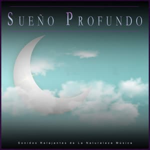 Sueño Profundo: Sonidos Relajantes de La Naturaleza Música - Sueño Profundo Relajante