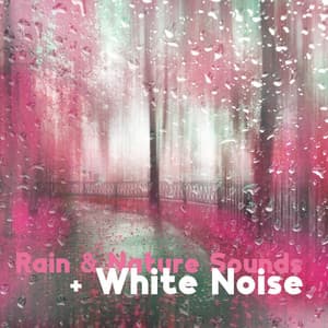 Rain & Nature Sounds + White Noise - Matt Fisher Ambient Project
