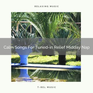 Calm Songs For Tuned-in Relief Midday Nap - Deep Horizon Waves