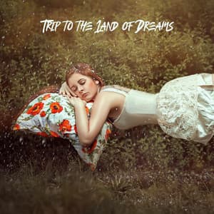 Trip to the Land of Dreams – Calm Your Mind and Have a Good Night with Soothing New Age Sounds - Sleep Music 432Hz