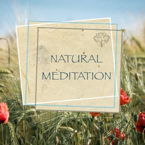 Natural Meditation - Relaxing Spirit