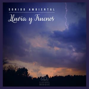 Sonido Ambiental: Lluvia y Truenos - Lluvia Del Bosque