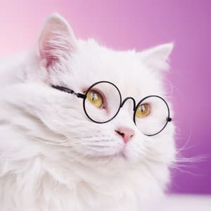 Cat Serenity: Peaceful Sounds for Kitty Relaxation - Lofi Gallery