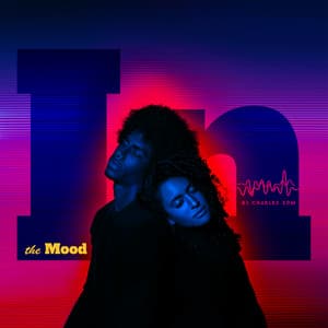 In the Mood - DJ Charles EDM