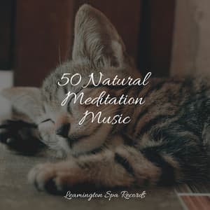 50 Natural Meditation Music - Deep Focus