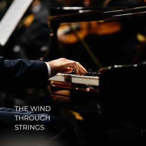 The Wind Through Strings - Relaxing Piano Masters