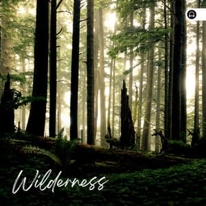 Wilderness - Nature Soundscapes