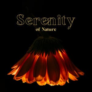 Serenity of Nature - Trouble Sleeping Music Universe