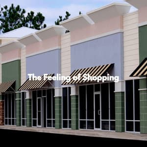 The Feeling of Shopping - Working from Home Music