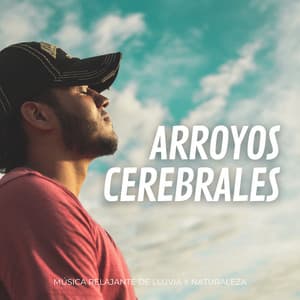 Arroyos Cerebrales: Música Relajante De Lluvia Y Naturaleza - Sonidos de la Naturaleza Ruido