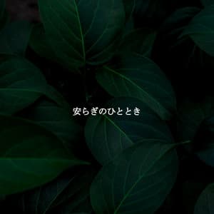 安らぎのひととき - Paris Cafe Jazz