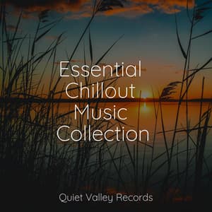 Essential Chillout Music Collection - Lluvia