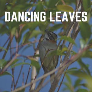 Dancing Leaves - Nature Sounds Nature Music