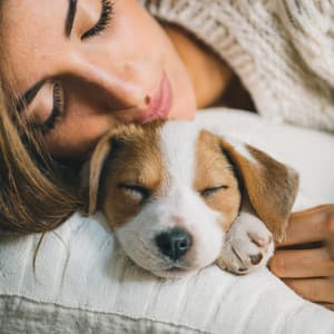 Calma Canina: Música Relajante Para Perros - Viajes tranquilos