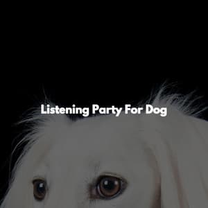 Listening Party For Dog - Norway Jazz Norge