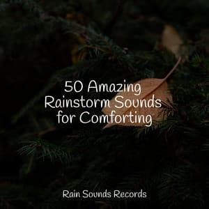 50 Amazing Rainstorm Sounds for Comforting - Lullabies for Deep Meditation