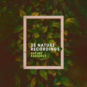 35 Nature Recordings - Nature Radiance