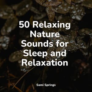 50 Relaxing Nature Sounds for Sleep and Relaxation - Sounds of Nature White Noise Sound Effects