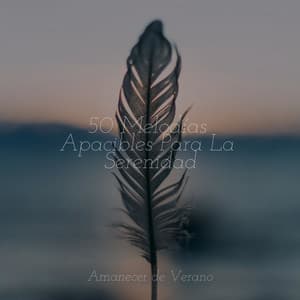50 Melodías Apacibles Para La Serenidad - Musica para Dormir Dream House