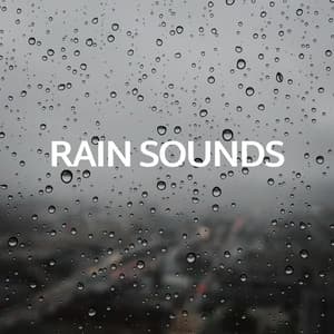 Rain Sounds - Rain Sounds