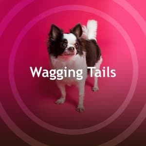Wagging Tails - Music For Pets