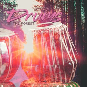 Drums In The Forest - Steve The King Of Drums