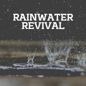 Rainwater Revival - Nature and Rain