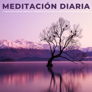 Meditación Diaria: La Mejor Selección De Sonidos De Corrientes De Agua Para Una Meditación Rápida Antes De Dormir - Música de la Naturaleza