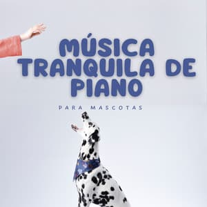 Música Tranquila De Piano Para Mascotas - Tortuga de piano soñolienta