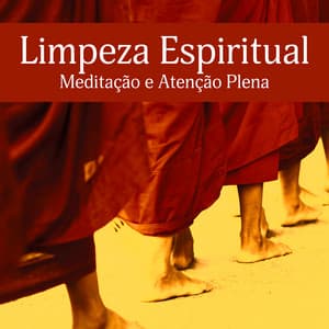 Limpeza Espiritual: Meditação e Atenção Plena - Budismo Tibetano Academia