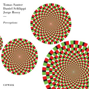 Perceptions - Tomas Sauter