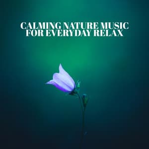 Calming Nature Music for Everyday Relax: Beautiful Collection of Forest, Jungle & Water Sounds - Calming Waters Consort