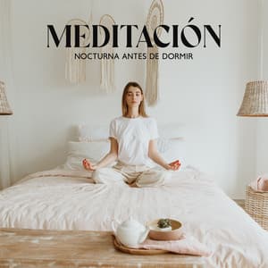 Meditación Nocturna Antes De Dormir - Técnicas de Meditación Academia