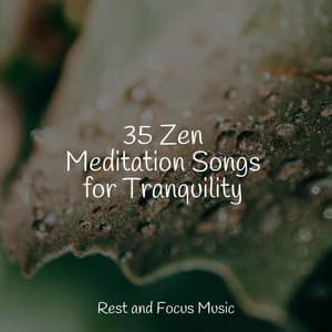 35 Zen Meditation Songs for Tranquility - Pink Noise