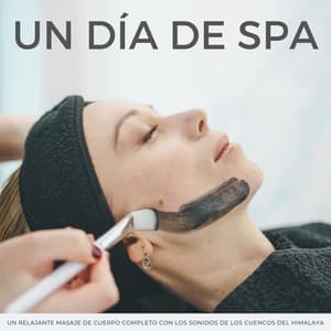Un Día De Spa: Un Relajante Masaje De Cuerpo Completo Con Los Sonidos De Los Cuencos Del Himalaya - Spa Y Relax Suave