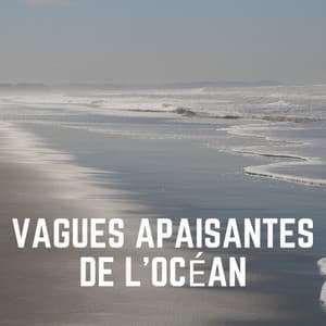 Vagues Apaisantes de L'océan - Vagues Dans La Mer
