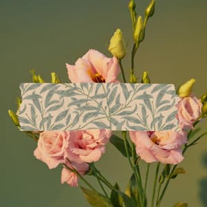 Dashing Jazz Quartet - Bgm for Winter Balancing - French Mornings