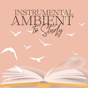 Instrumental Ambient to Study: Relaxing Concentration Music, Reading Background, Learning Motivation - Study Music Club