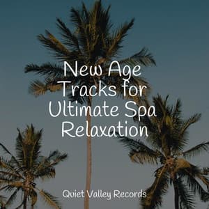 New Age Tracks for Ultimate Spa Relaxation - Crying & Colic Relief